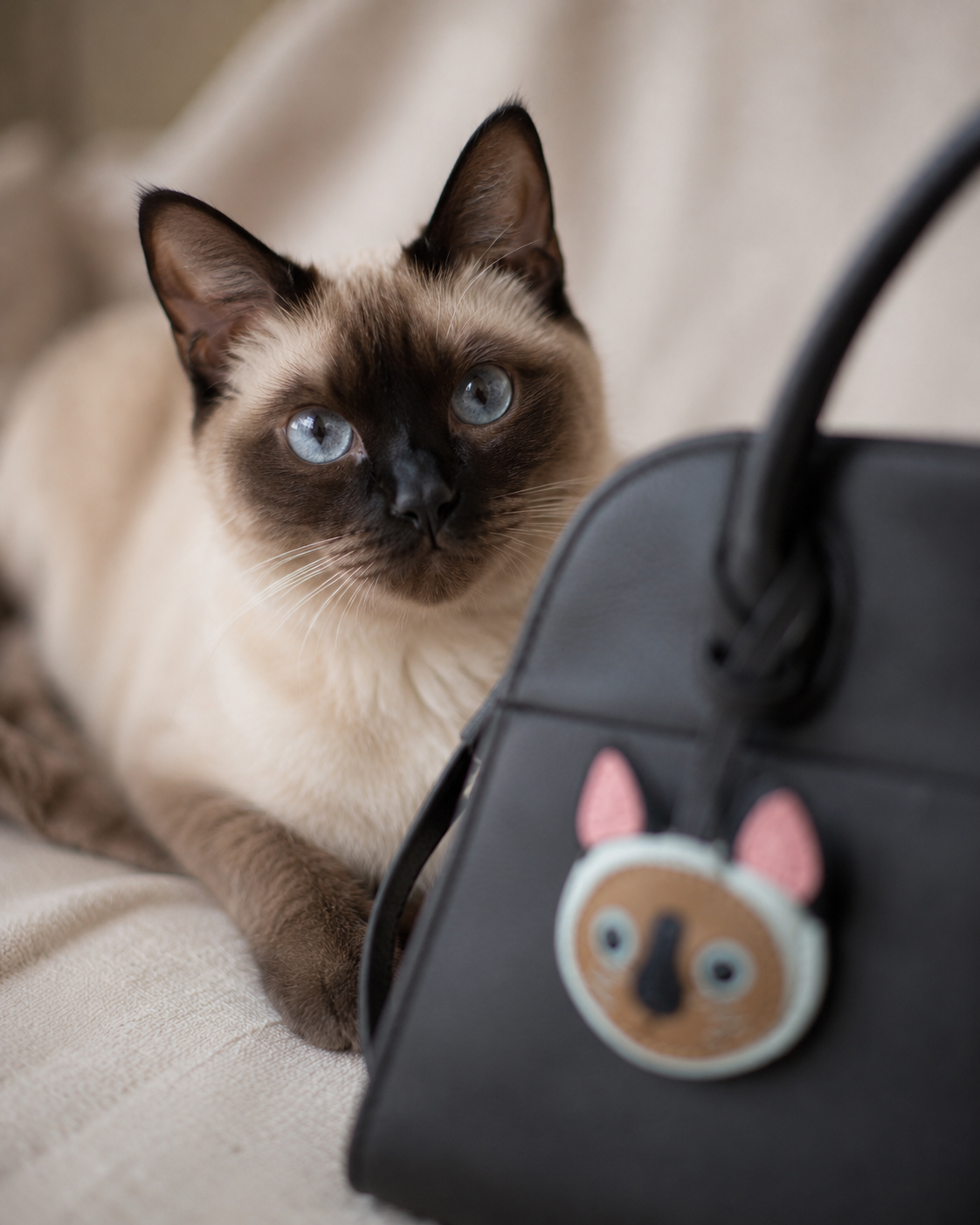 Bag Charm Gato Siamês Ponto Foca em uso com bolsa - Charmme Brasil
